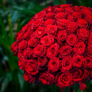 101’li Gül Buketi - Ay Flowers