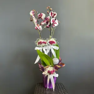 Beyaz Mor Orkide - Ay Flowers