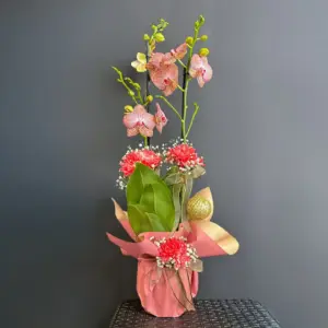 Kırçıllı Orkide - Ay Flowers