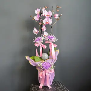 Lila Orkide - Ay Flowers