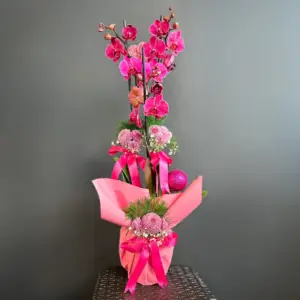 Pembe Orkide - Ay Flowers