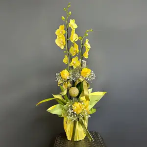 Sarı Orkide - Ay Flowers