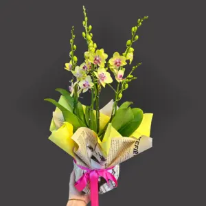 4 Dal Sarı Orkide Aranjmanı - Ay Flowers