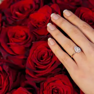 25 Adet Kırmızı Gül Buketi - Ay Flowers
