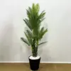 Büyük Yapay Areca Palmiye - Ay Flowers