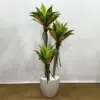 Yapay Aloe Vera - Ay Flowers