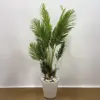 Yapay Areca Palmiye - Ay Flowers