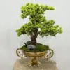 Yapay Bonzai Aranjman Altın Saksı - Ay Flowers