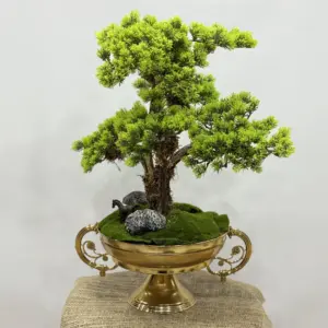 Yapay Bonzai Aranjman Altın Saksı - Ay Flowers