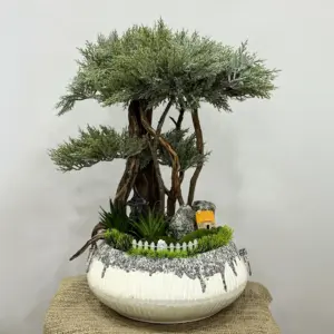 Yapay Bonzai Aranjman Beyaz Saksı - Ay Flowers