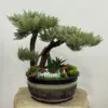 Yapay Bonzai Aranjman Gri-Yeşil - Ay Flowers