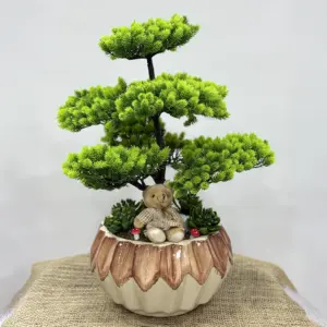 Yapay Bonzai Aranjman Krem Saksı - Ay Flowers