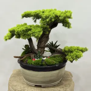 Yapay Bonzai Aranjman Yeşil - Ay Flowers