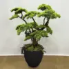Yapay Büyük Bonzai Ferah - Ay Flowers