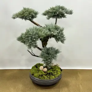 Yapay Büyük Bonzai Yassı Saksı - Ay Flowers