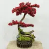 Yapay Kırmızı Bonzai Aranjman - Ay Flowers